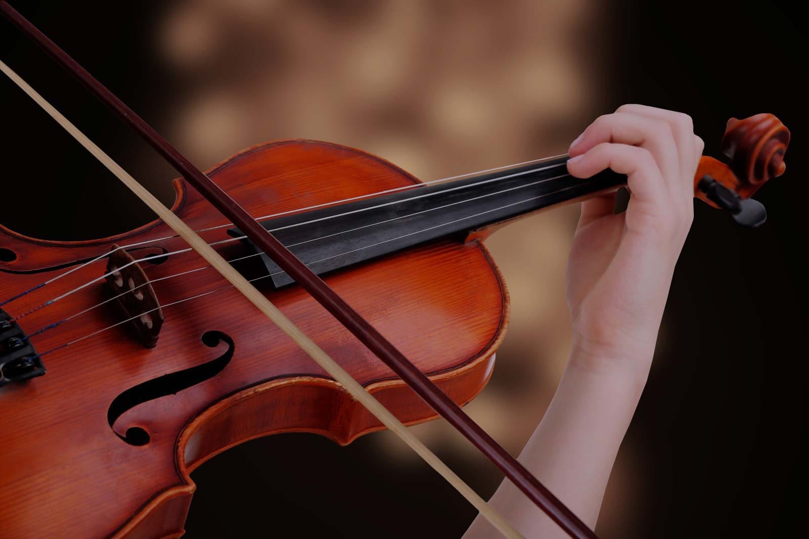 Viola-01